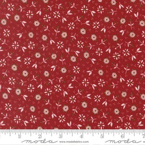 55712-22 CHILLY