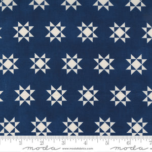 49160-17 Starlight Gatherings