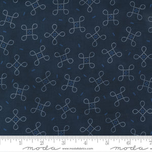 49161-11 Starlight Gatherings