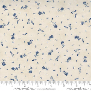 49165-18 Starlight Gatherings