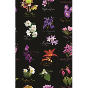 Canadian Road Trip 20003-4