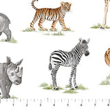 Baby Safari 24672-10