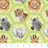 Baby Safari 24674-73