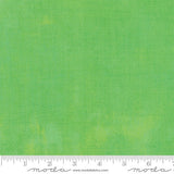 30150-304 Kiwi