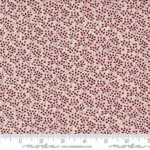 49171-11 Garden Gatherings Shirtings